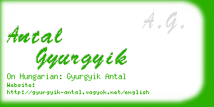 antal gyurgyik business card